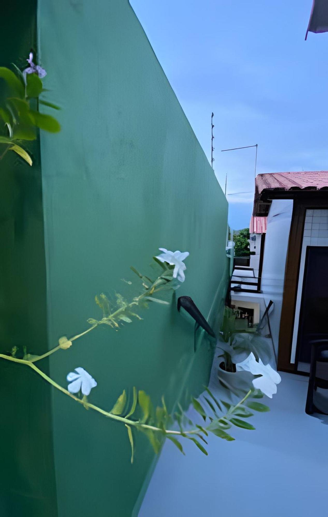 Pousada Ventos Do Mar Natal Kültér fotó
